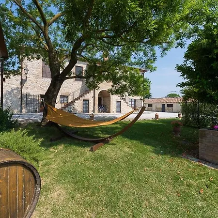 Willa Sofia - Teloni